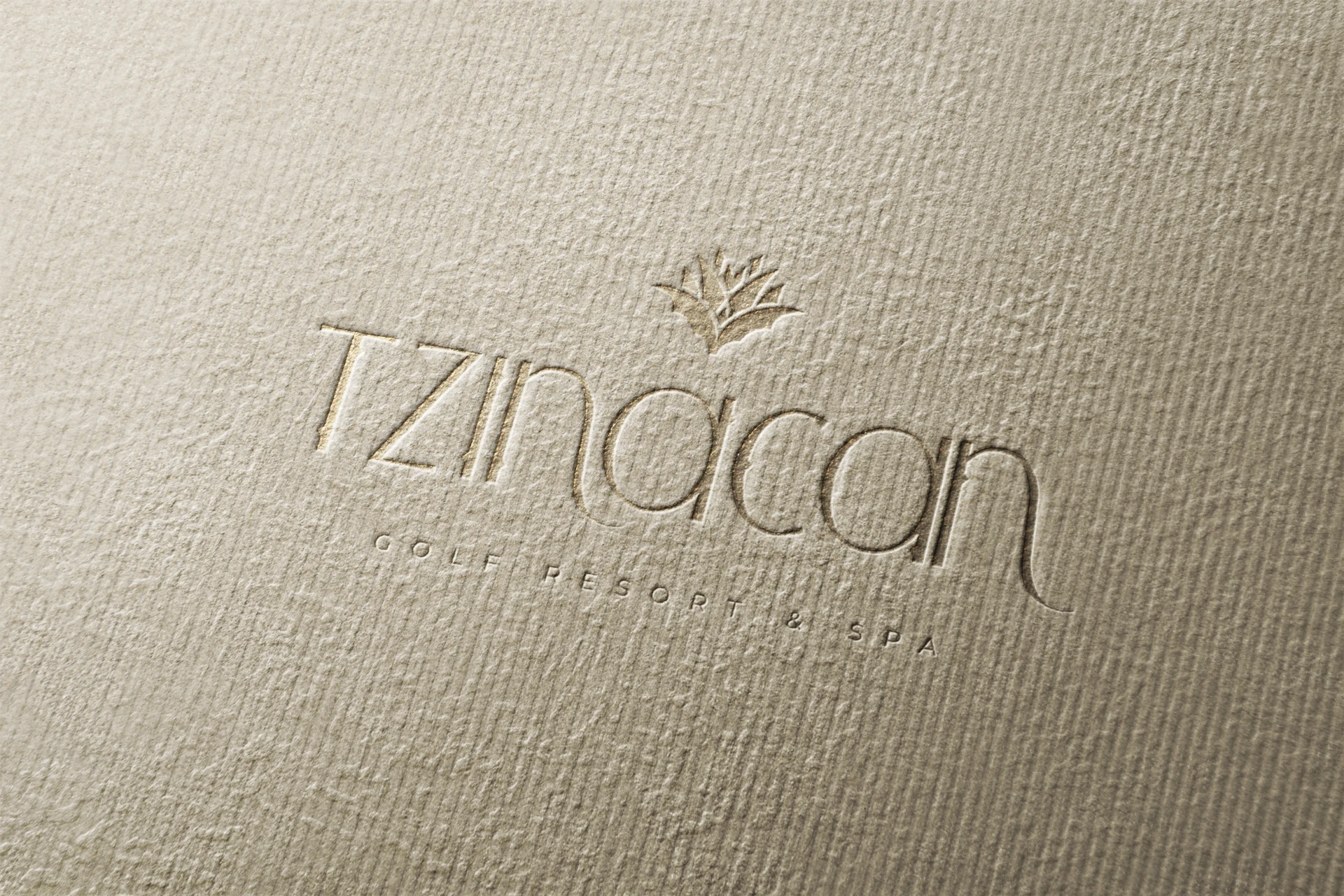 Aplicación del logo