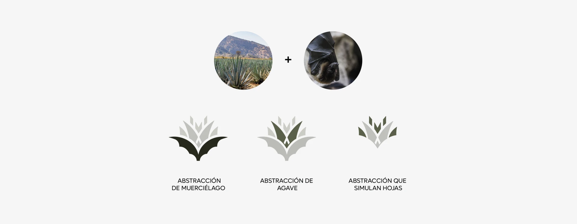 Proceso de creación del logo